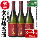 【ふるさと納税】宝山梅乃酒 三年熟成 720ml｜贅沢な熟成梅酒の魅力
