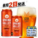 【ふるさと納税】キリン スプリングバレー 豊潤｜選べる容量・定期便で楽しむクラフトビール