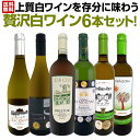 京橋ワイン特選・イタリア辛口白ワイン6本セット｜上質な飲み比べギフト送料無料第72弾