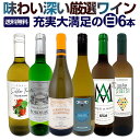 京橋ワイン厳選！辛口白ワイン6本セット 飲み比べに大満足の特選ギフト