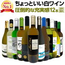 京橋ワイン特選12本 白ワインセット 辛口飲み比べギフトに人気